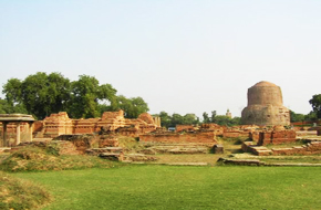 MileJourney - Sarnath