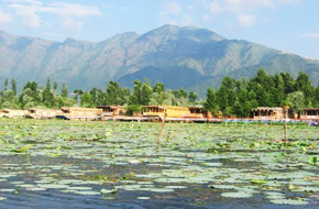 MileJourney - dal_lake