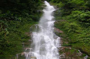 MileJourney - Pelling