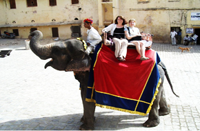 MileJourney - jaipur-elephent_ride