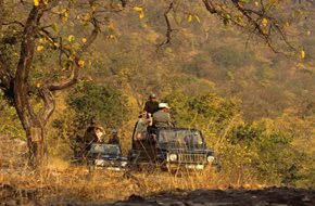 MileJourney - kanha_Jeep_safari
